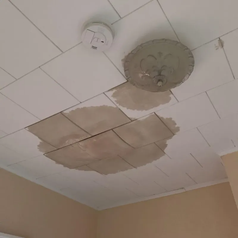 Ceiling Water Damage Repair in Rural Retreat, VA