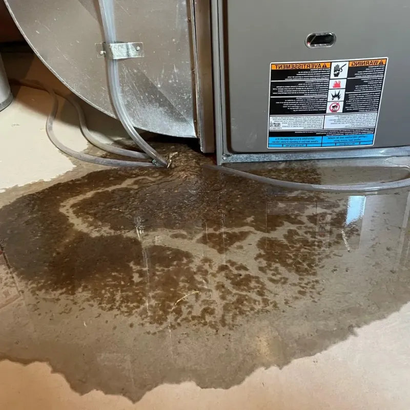 Pipe Burst and Leak Restoration in Rural Retreat, VA