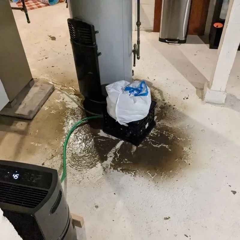 Sewage Backup Cleanup Service in Rural Retreat, VA
